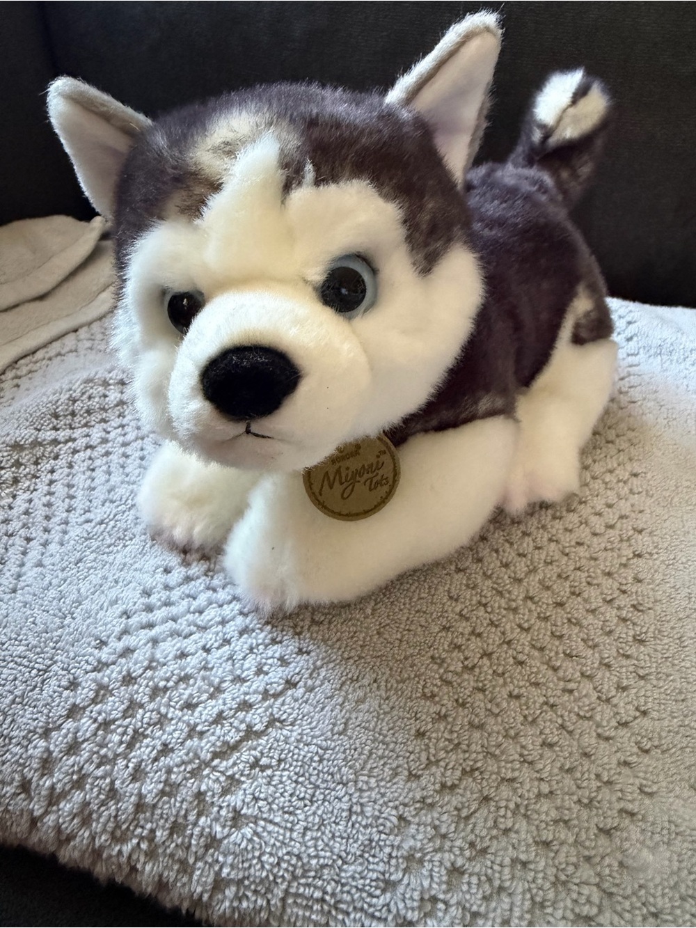 Miyoni Gray & White Husky Plush - Soft Stuffed Animal for Kids